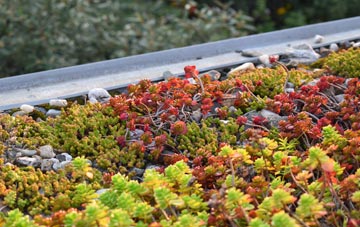the cost of Hatchmere green roof installation