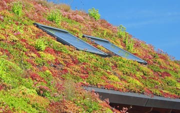 Hatchmere living roof systems
